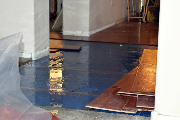 Professional Emergency Water Damage Restoration technician working in De Soto, WI